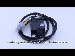 Sensor PM